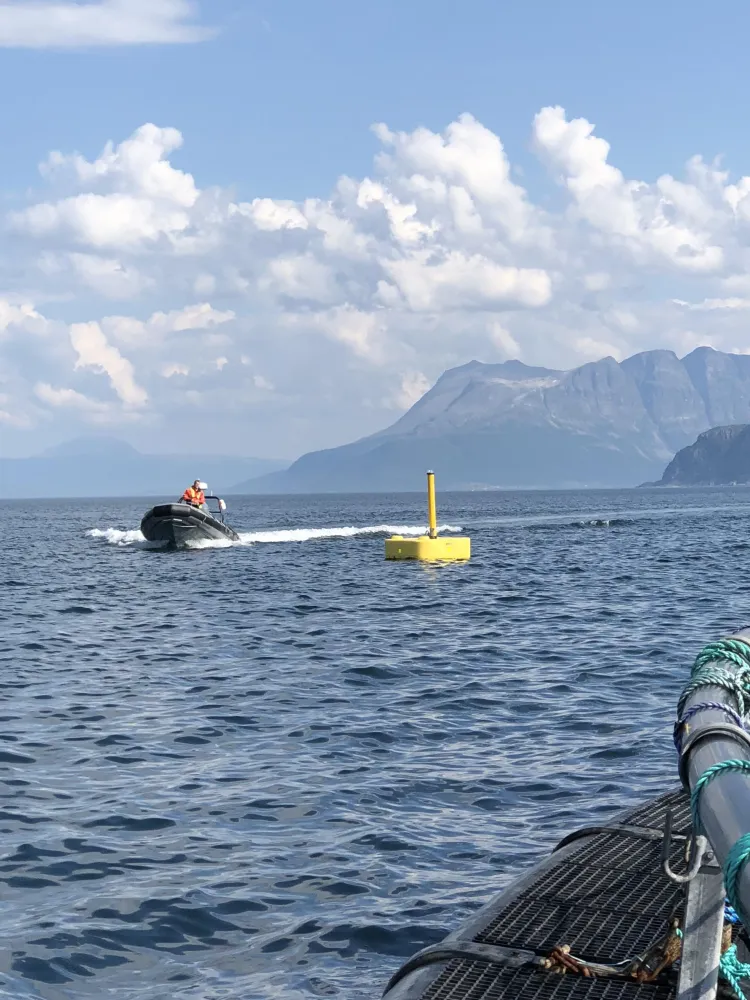 Visningstur til merdekanten og Salmon Center Senja