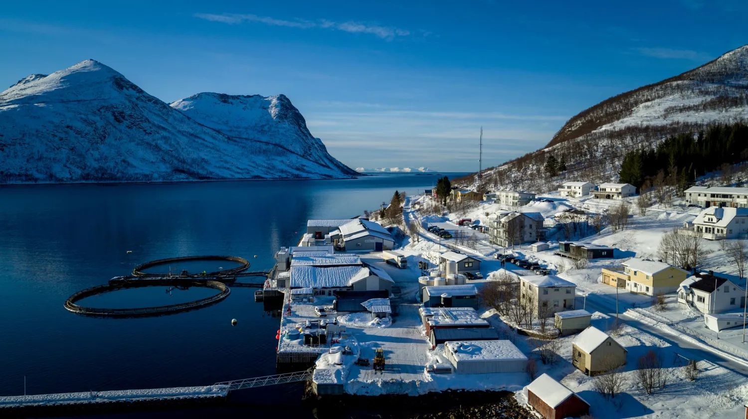TorskenSenteret enkeltrom