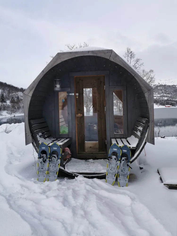 Nordlys og ski med gjengen
