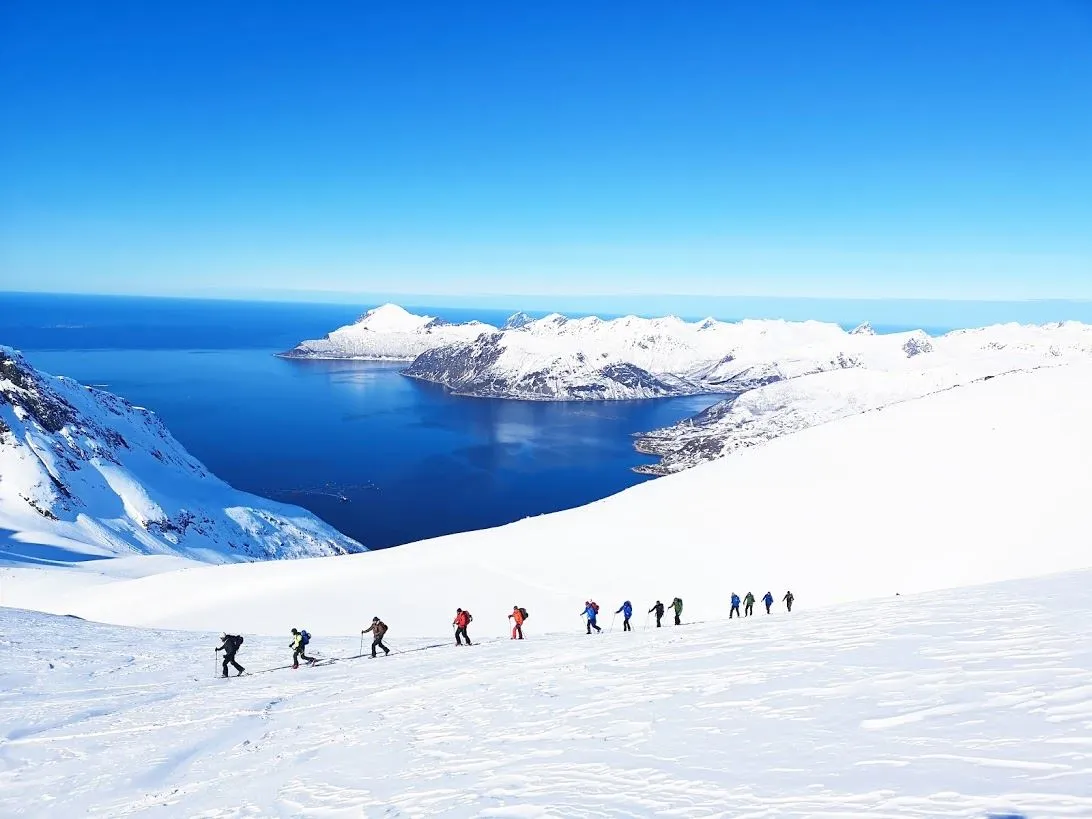 Nordlys og ski med gjengen