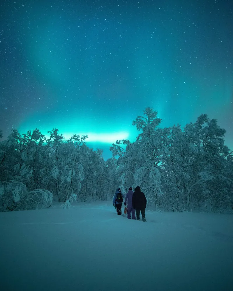Ånderdalen Nasjonalpark - guidet trugetur 