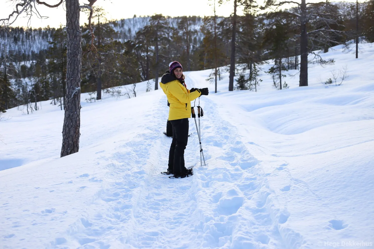 Ånderdalen Nasjonalpark - guidet trugetur 