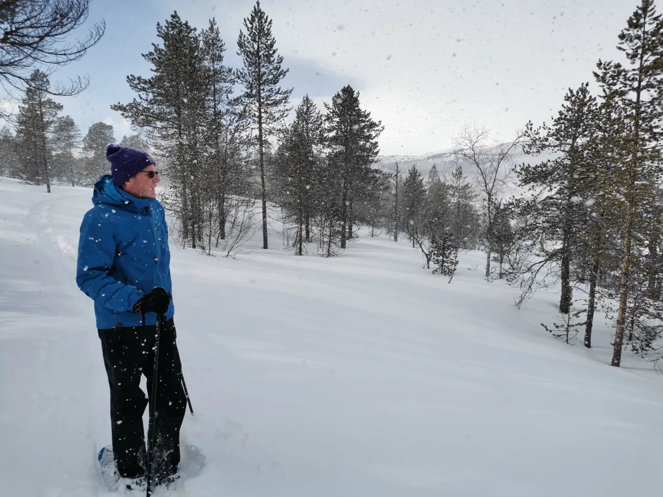 Ånderdalen Nasjonalpark - guidet trugetur 