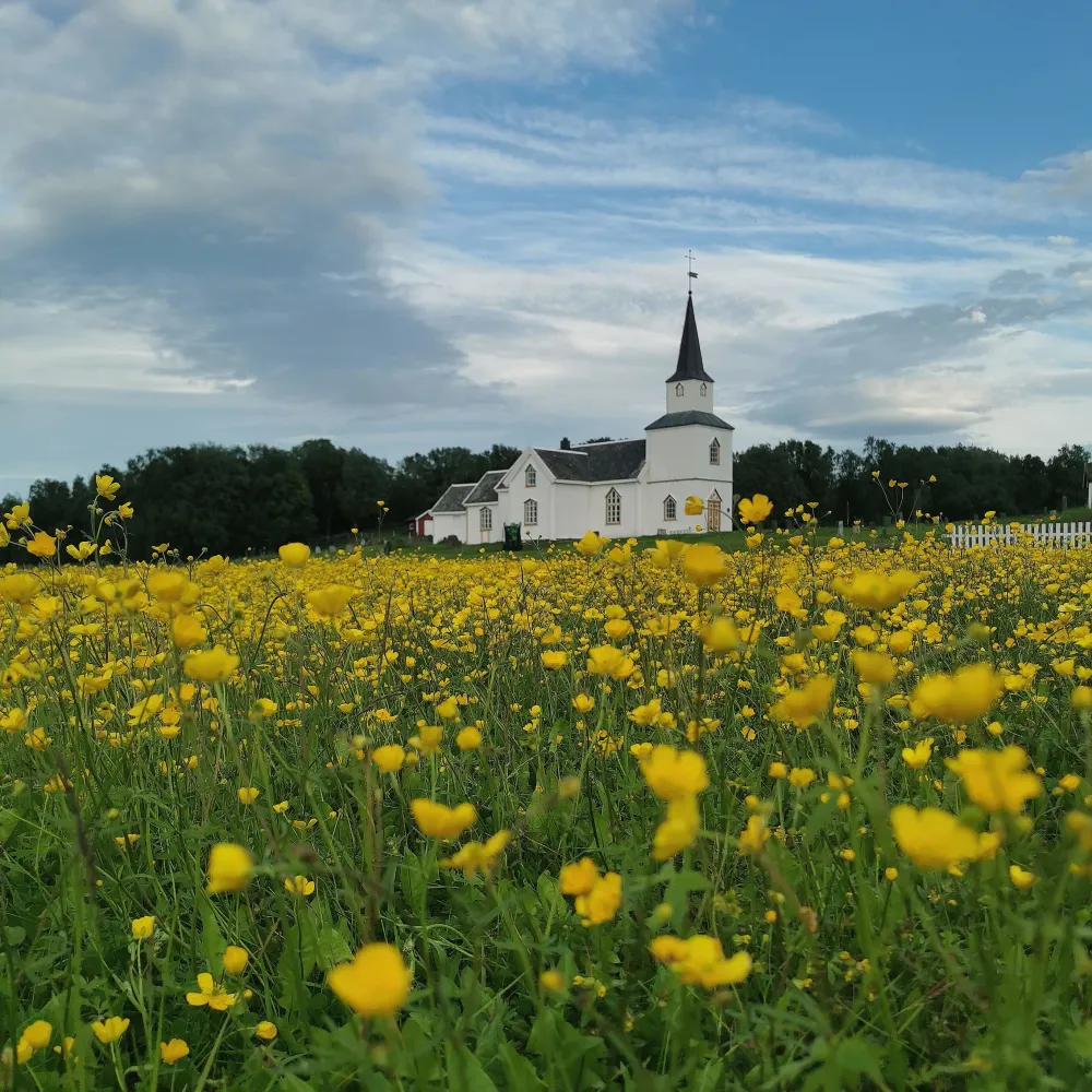 Kulturvandring med guide på Tranøya