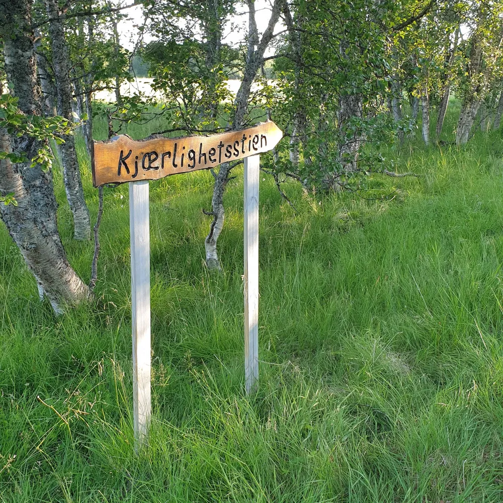 Kulturvandring med guide på Tranøya