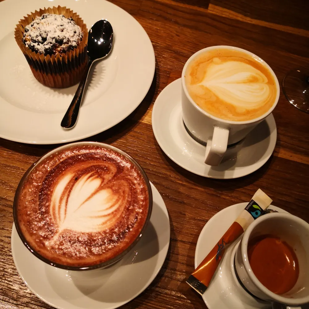 Senja Roasters Café