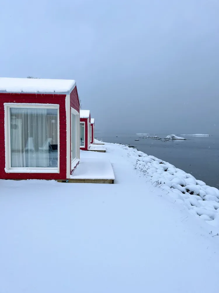 Aurora Sea View hytter hos Norwegian Wild
