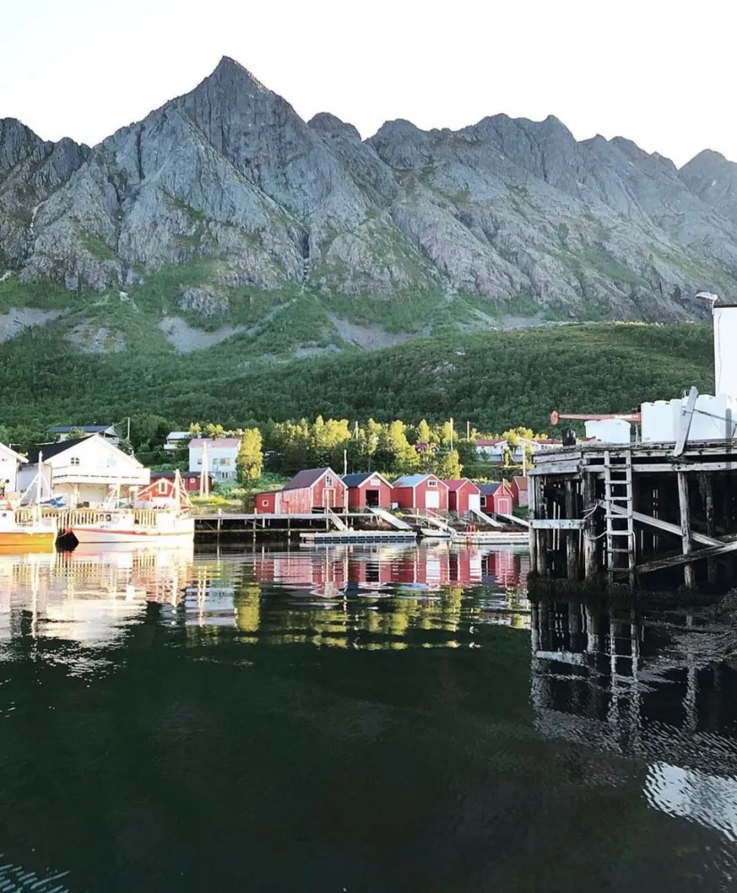 Senja Living