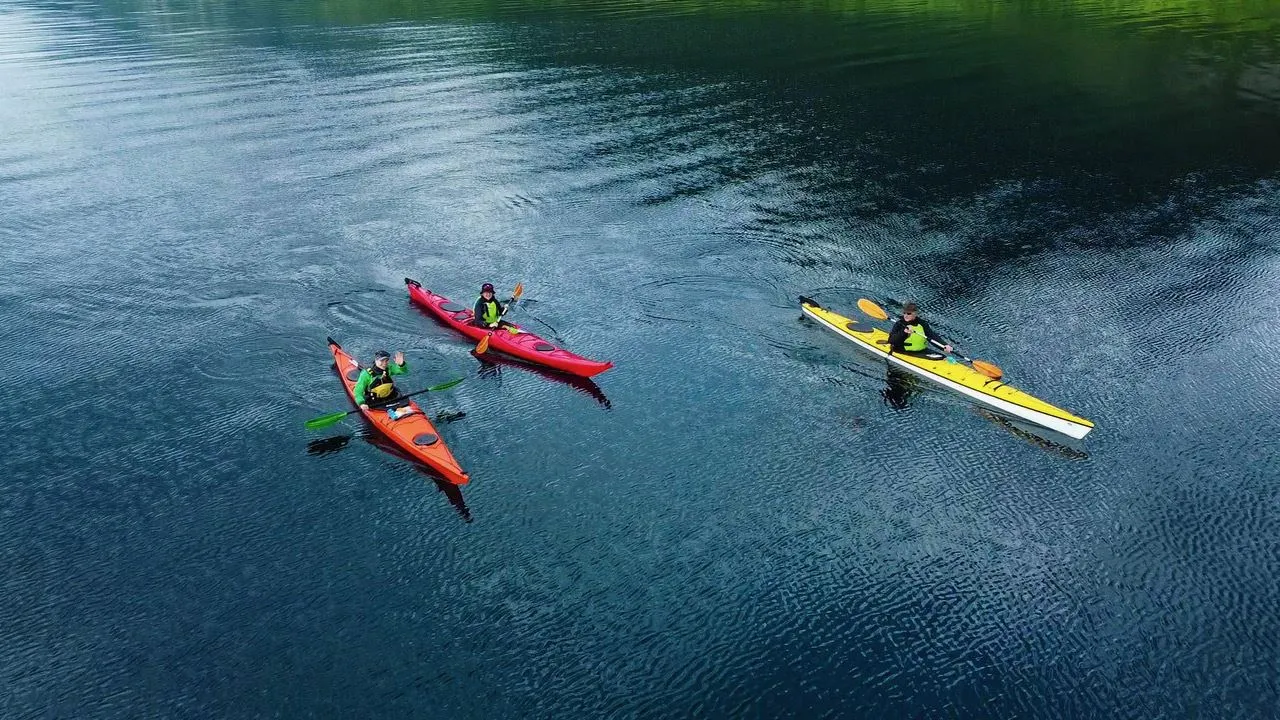 Wandering Owl - Kayak wetcard 