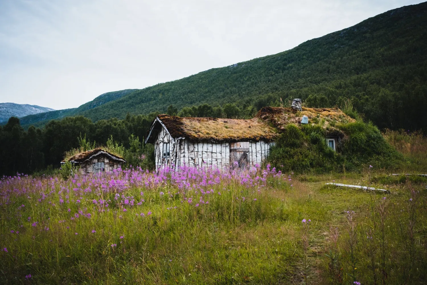 Kaperdalen markesamiske boplass