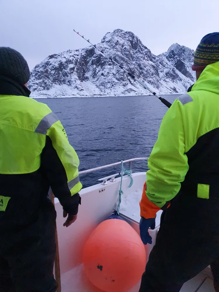 Havfiske med Senja by Sea
