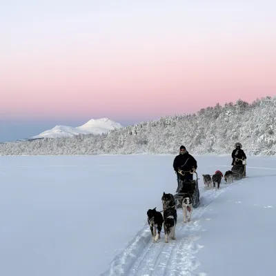 M-Husky Day Trip Pink skies