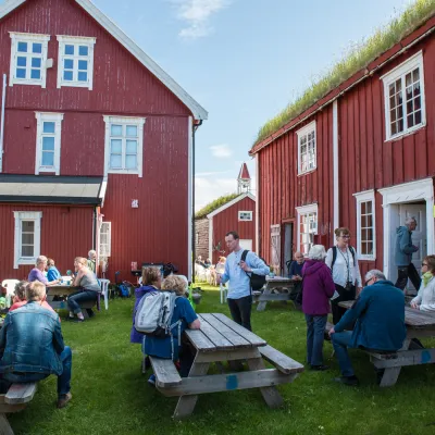Tranøy Gård sommer og folk 