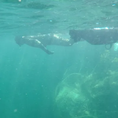 Snorkling - The Natural North